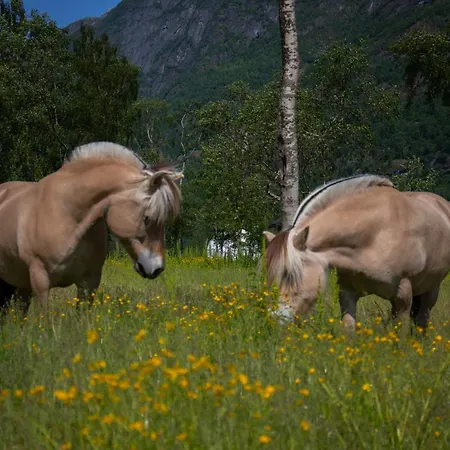Olden Glamping - One With Nature Stryn Exterior photo