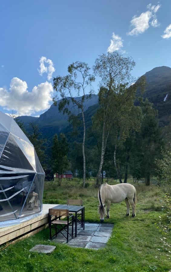 Olden Glamping - One With Nature