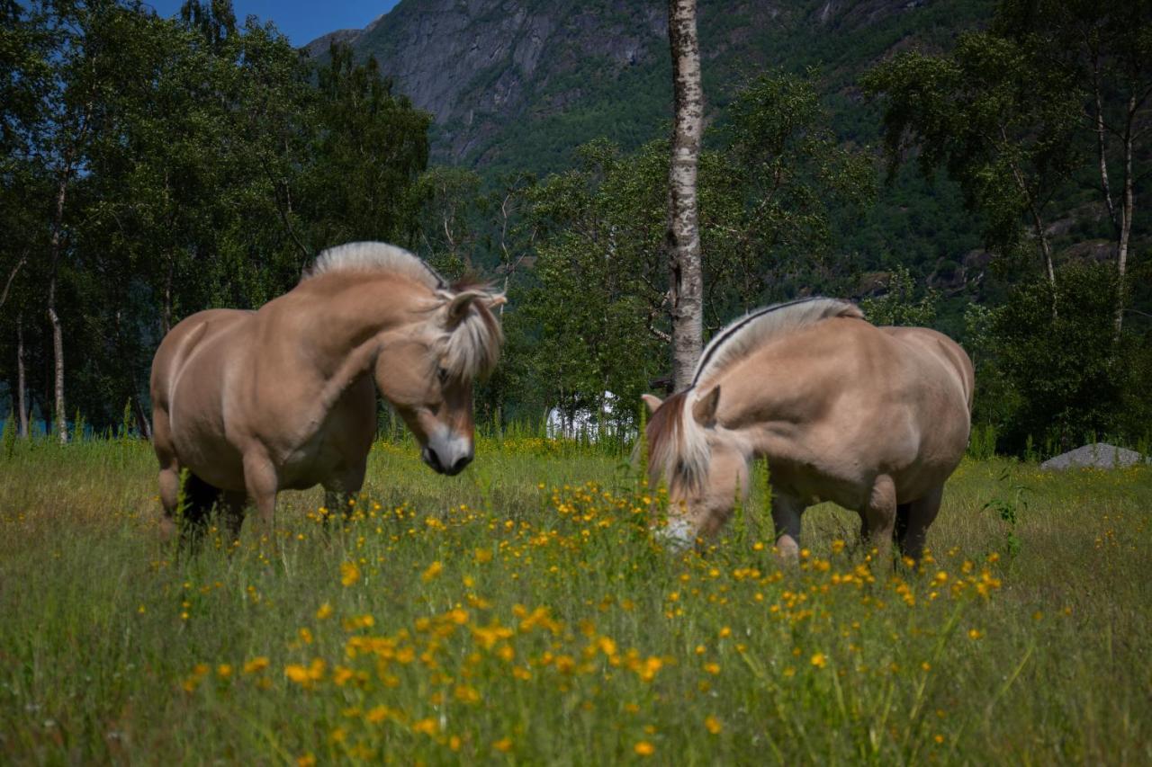 Olden Glamping - One With Nature Luxuszelt *