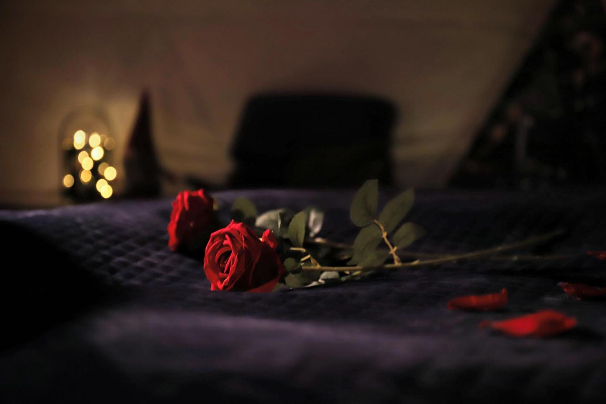 Olden Glamping - One With Nature *